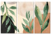 Canvas Art Print Green Leaves - Plants on an Abstract Background in Pastel Browns 151782