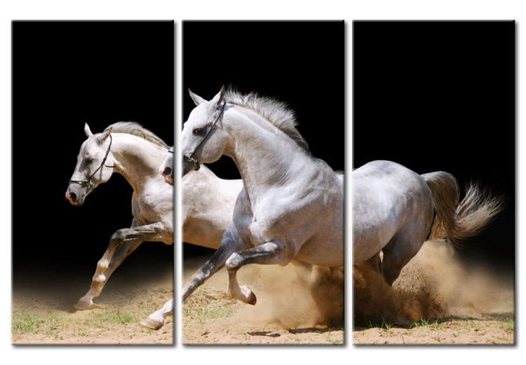 Canvas Art Print Horses- power and velocity 58682