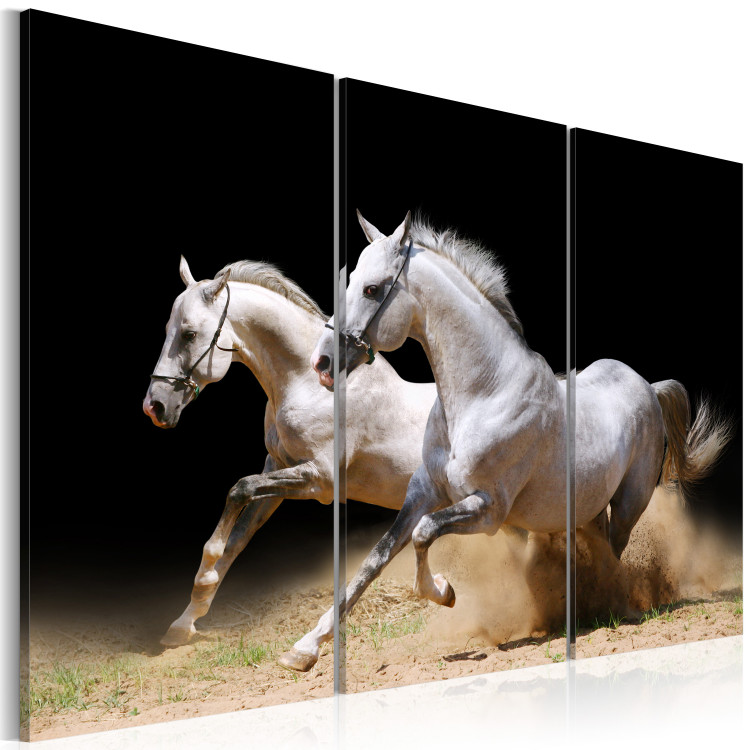 Canvas Art Print Horses- power and velocity 58682 additionalImage 2