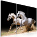 Canvas Art Print Horses- power and velocity 58682 additionalThumb 2