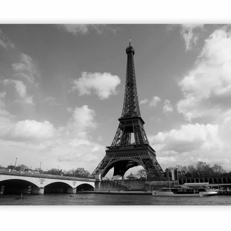 Wall Mural Urban Architecture of Paris - River Seine Flowing Beside the Eiffel Tower 59882 additionalImage 5