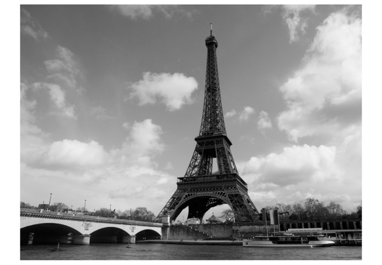 Wall Mural Urban Architecture of Paris - River Seine Flowing Beside the Eiffel Tower 59882 additionalImage 1