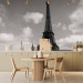 Wall Mural Urban Architecture of Paris - River Seine Flowing Beside the Eiffel Tower 59882 additionalThumb 6