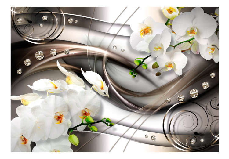 Wall Mural Abstract About Flowers - White Orchids on a Silver Composition Background 60182 additionalImage 1