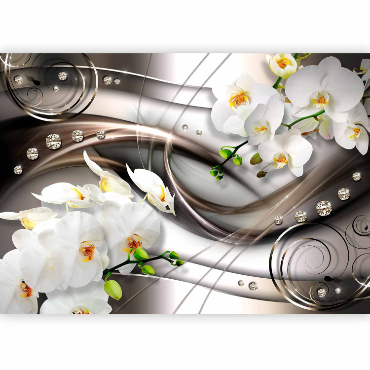 Wall Mural Abstract About Flowers - White Orchids on a Silver Composition Background 60182 additionalImage 5