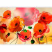 Wall Mural Velvety Poppies - Artistic Shot of Flowers in Energetic Colours 60382 additionalThumb 1