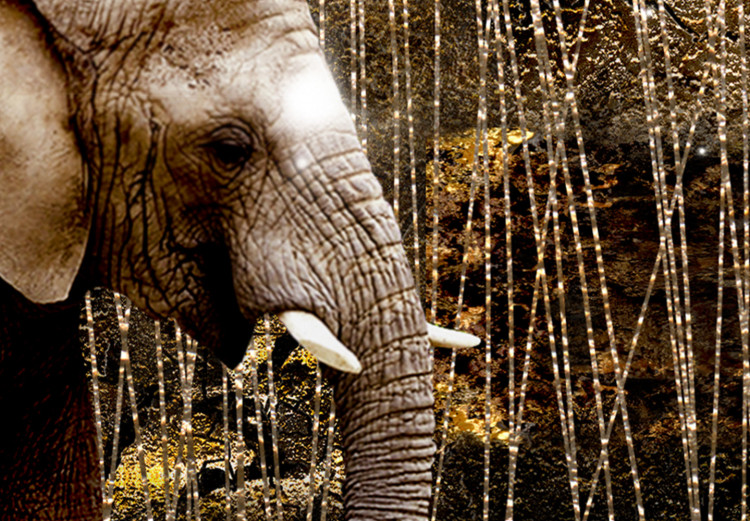 Acrylic print Brown Elephants [Glass] 92382 additionalImage 6