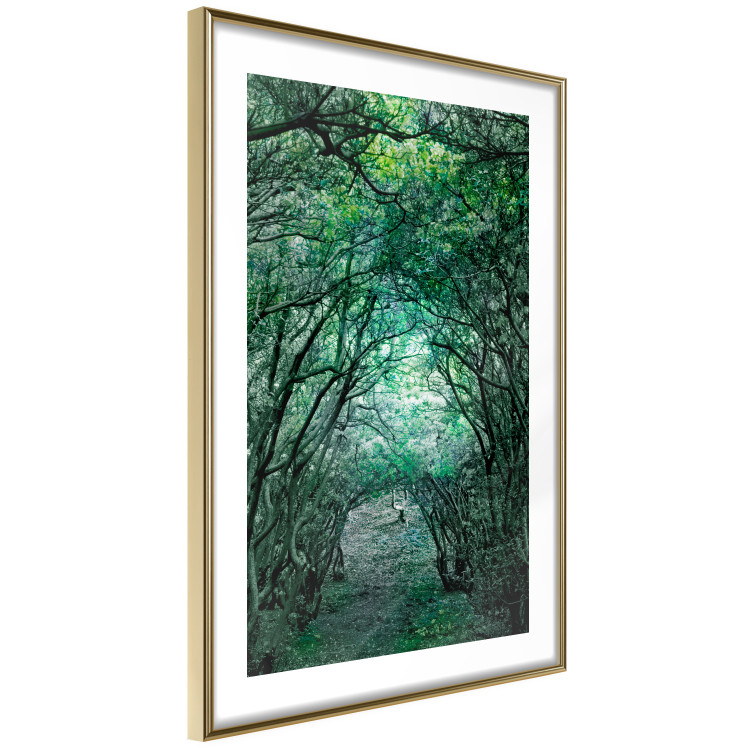 Poster Green Pergola - landscape with a passage among leaves and tree branches 117892 additionalImage 6