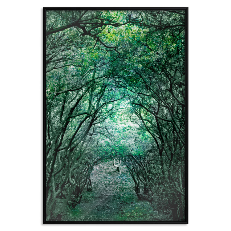 Poster Green Pergola - landscape with a passage among leaves and tree branches 117892 additionalImage 18