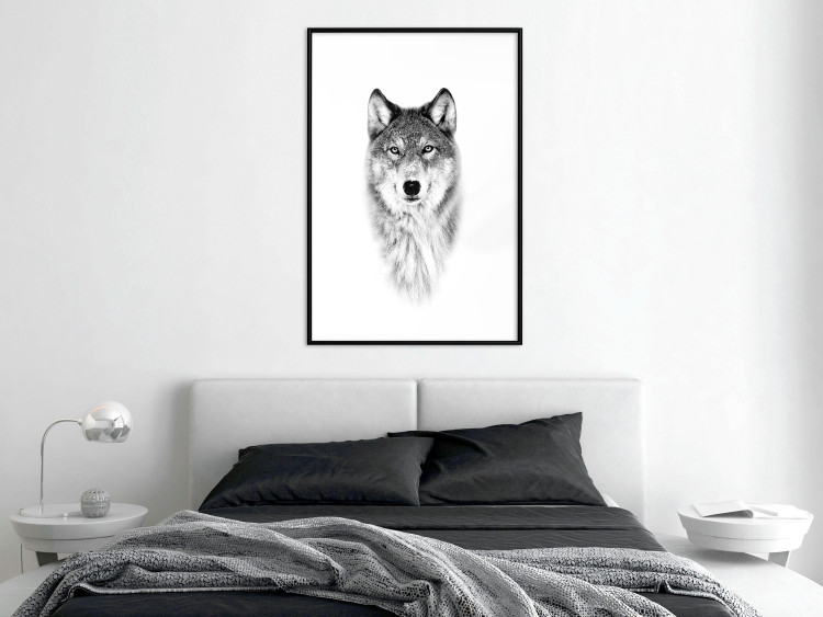 Wall Poster Snowy Wolf - black and white portrait of a wolf on a bright contrasting background 126292 additionalImage 18