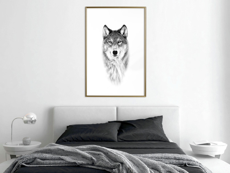 Wall Poster Snowy Wolf - black and white portrait of a wolf on a bright contrasting background 126292 additionalImage 13