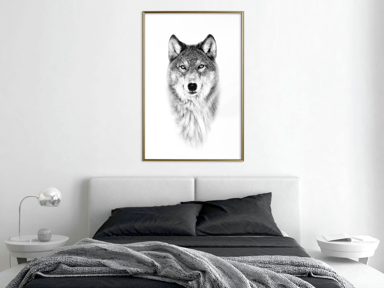 Wall Poster Snowy Wolf - black and white portrait of a wolf on a bright contrasting background 126292 additionalImage 5