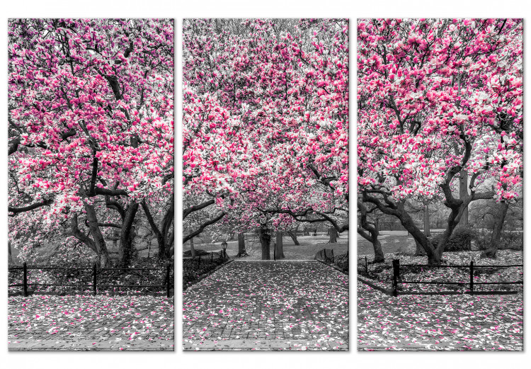Canvas Print Blooming Magnolias - triptych with magnolia trees and pink flowers 128792