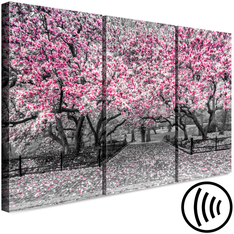 Canvas Print Blooming Magnolias - triptych with magnolia trees and pink flowers 128792 additionalImage 6