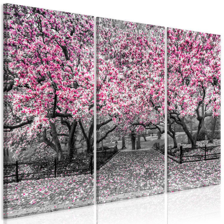 Canvas Print Blooming Magnolias - triptych with magnolia trees and pink flowers 128792 additionalImage 2