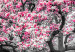 Canvas Print Blooming Magnolias - triptych with magnolia trees and pink flowers 128792 additionalThumb 4