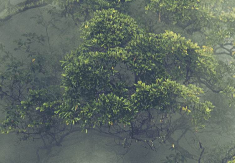 Canvas Misty Amazon (3-part) - landscape of an exotic rainforest 129392 additionalImage 4