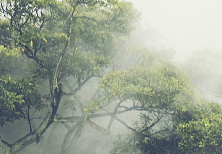 Canvas Misty Amazon (3-part) - landscape of an exotic rainforest 129392 additionalImage 5