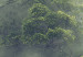 Canvas Misty Amazon (3-part) - landscape of an exotic rainforest 129392 additionalThumb 4