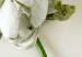 Poster Dried Memory - plant with white flower on a uniform background 130292 additionalThumb 11