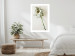 Poster Dried Memory - plant with white flower on a uniform background 130292 additionalThumb 3