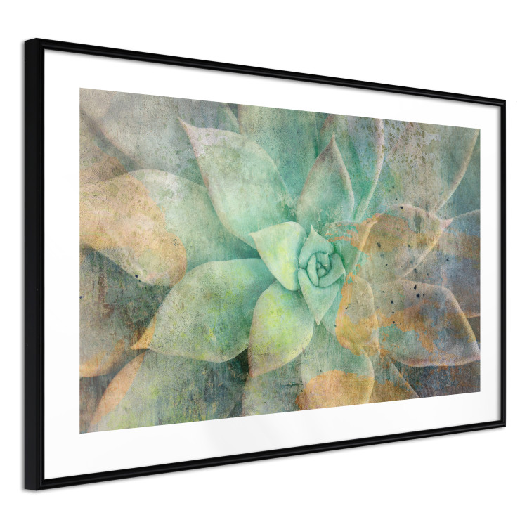 Wall Poster Shades of Bloom - colorful composition of a flower in different lights 135792 additionalImage 9
