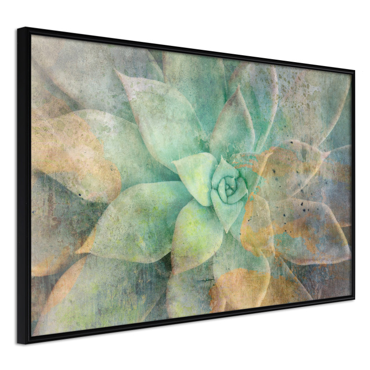 Wall Poster Shades of Bloom - colorful composition of a flower in different lights 135792 additionalImage 6