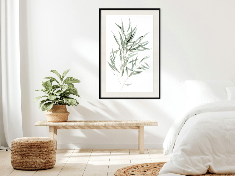 Wall Poster Eucalyptus Nicholii - minimalist composition with green leaves 137492 additionalImage 11
