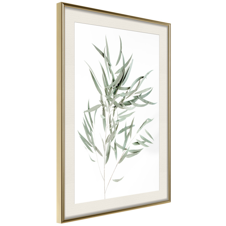 Wall Poster Eucalyptus Nicholii - minimalist composition with green leaves 137492 additionalImage 19