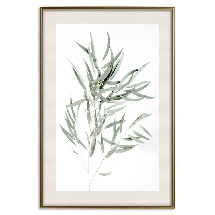 Wall Poster Eucalyptus Nicholii - minimalist composition with green leaves 137492 additionalImage 2
