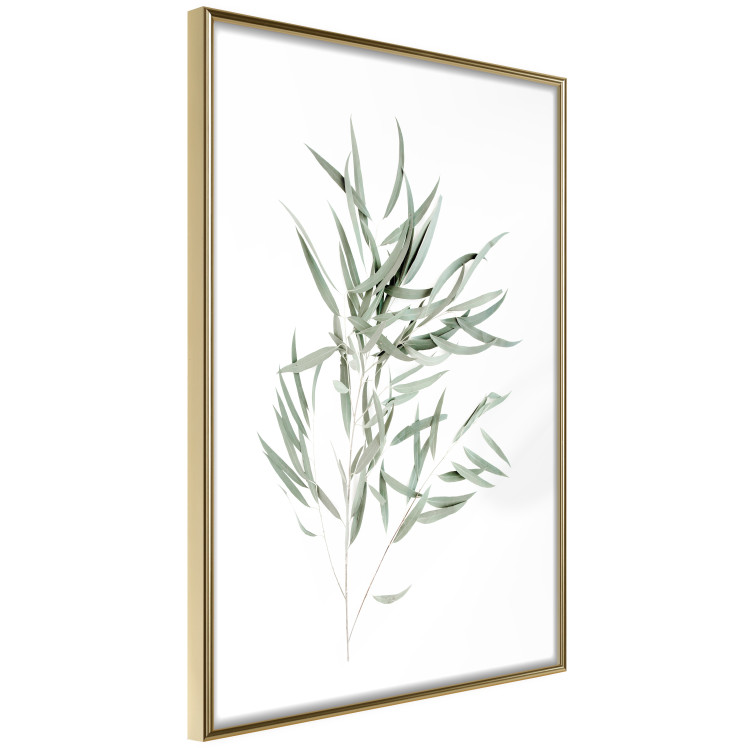 Wall Poster Eucalyptus Nicholii - minimalist composition with green leaves 137492 additionalImage 21