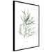 Wall Poster Eucalyptus Nicholii - minimalist composition with green leaves 137492 additionalThumb 22