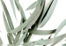 Wall Poster Eucalyptus Nicholii - minimalist composition with green leaves 137492 additionalThumb 20