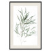 Wall Poster Eucalyptus Nicholii - minimalist composition with green leaves 137492 additionalThumb 3