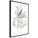 Wall Poster Eucalyptus Nicholii - minimalist composition with green leaves 137492 additionalThumb 24