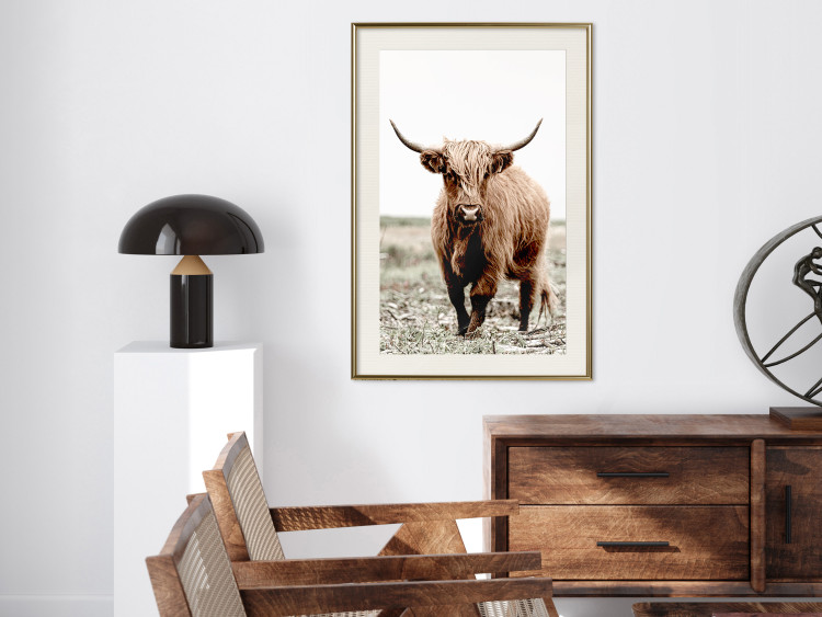 Wall Poster Young Bull - animal against a rural landscape and clear sky 137692 additionalImage 7
