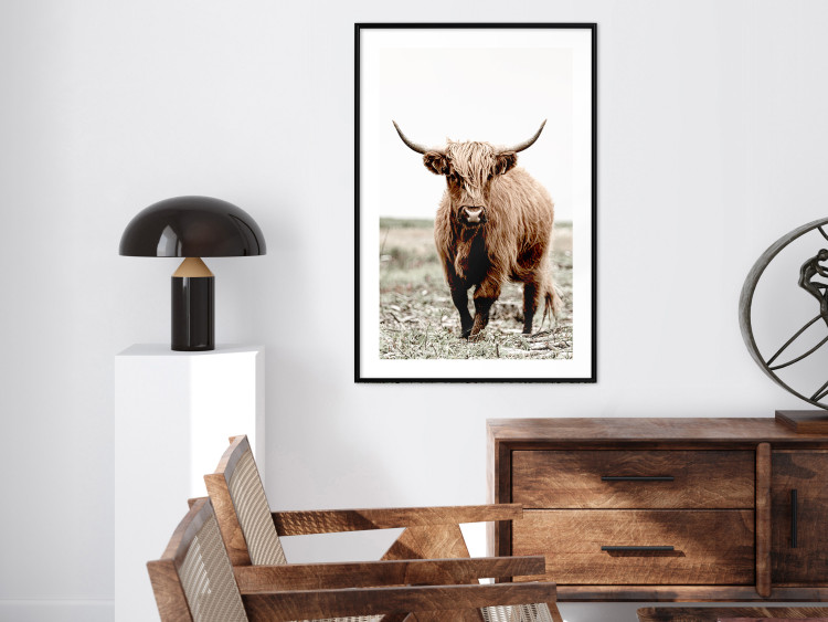 Wall Poster Young Bull - animal against a rural landscape and clear sky 137692 additionalImage 10