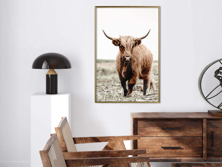Wall Poster Young Bull - animal against a rural landscape and clear sky 137692 additionalImage 8