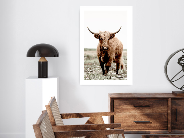 Wall Poster Young Bull - animal against a rural landscape and clear sky 137692 additionalImage 13