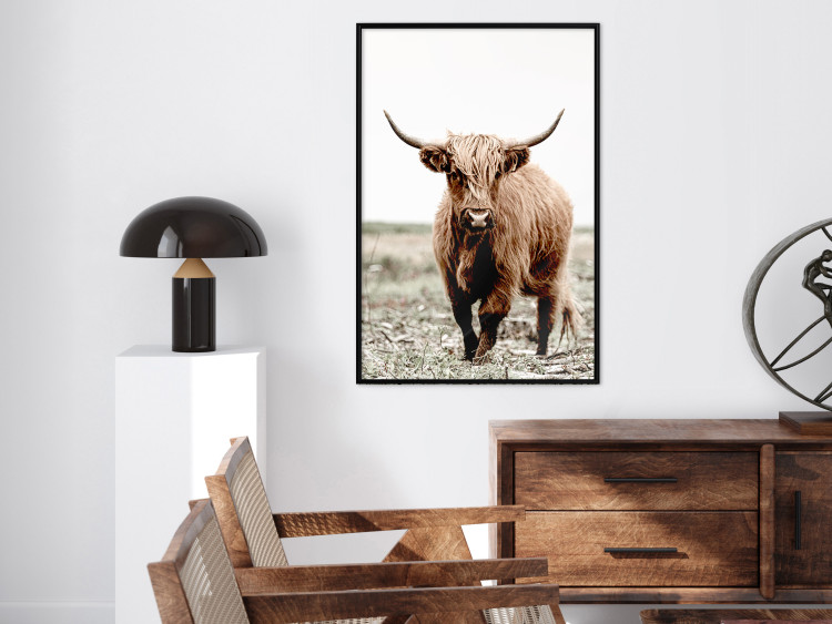 Wall Poster Young Bull - animal against a rural landscape and clear sky 137692 additionalImage 12