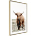 Wall Poster Young Bull - animal against a rural landscape and clear sky 137692 additionalThumb 17