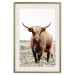 Wall Poster Young Bull - animal against a rural landscape and clear sky 137692 additionalThumb 24