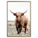 Wall Poster Young Bull - animal against a rural landscape and clear sky 137692 additionalThumb 2