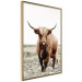 Wall Poster Young Bull - animal against a rural landscape and clear sky 137692 additionalThumb 14