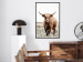 Wall Poster Young Bull - animal against a rural landscape and clear sky 137692 additionalThumb 12