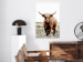 Wall Poster Young Bull - animal against a rural landscape and clear sky 137692 additionalThumb 11