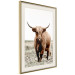 Wall Poster Young Bull - animal against a rural landscape and clear sky 137692 additionalThumb 15