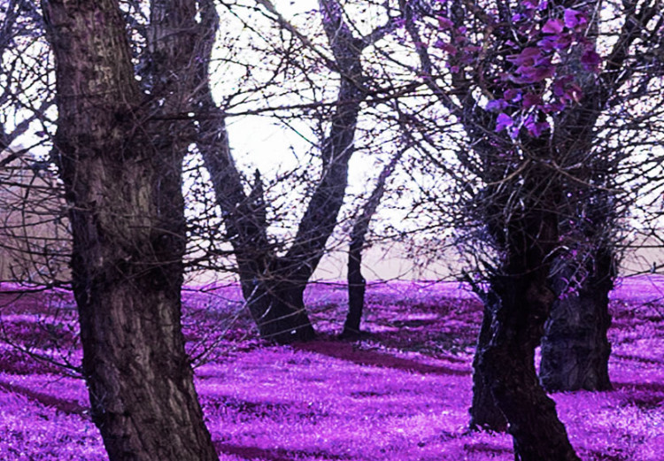 Canvas Lavender orchard 50092 additionalImage 5