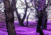 Canvas Lavender orchard 50092 additionalThumb 5