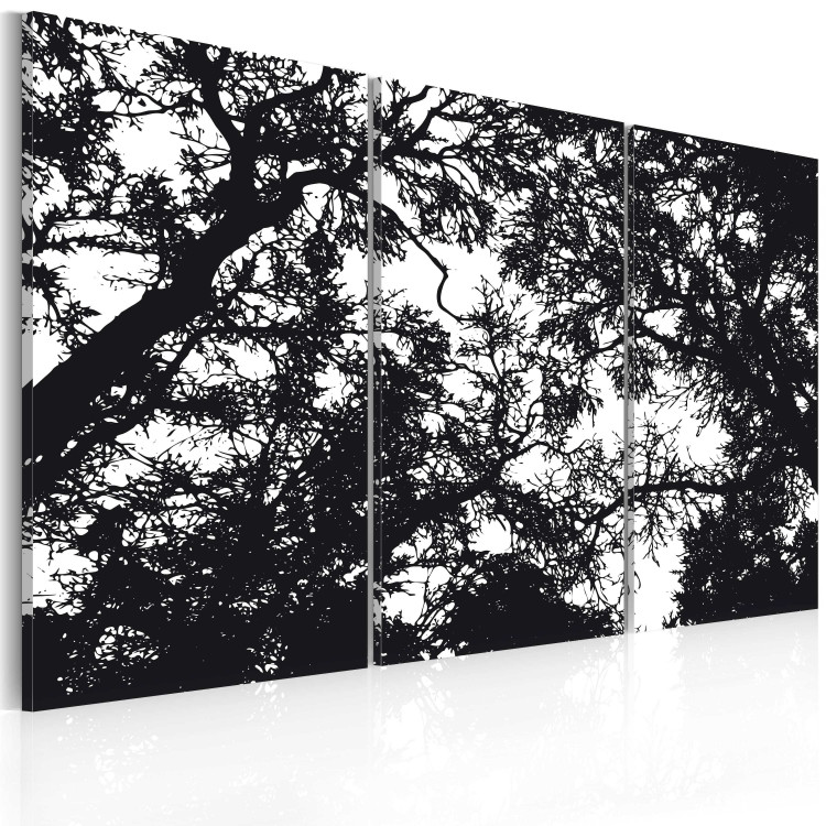 Canvas Print Look up - black and white tree branches with the sky in the background 56092 additionalImage 2